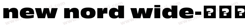 new nord wide字体转换